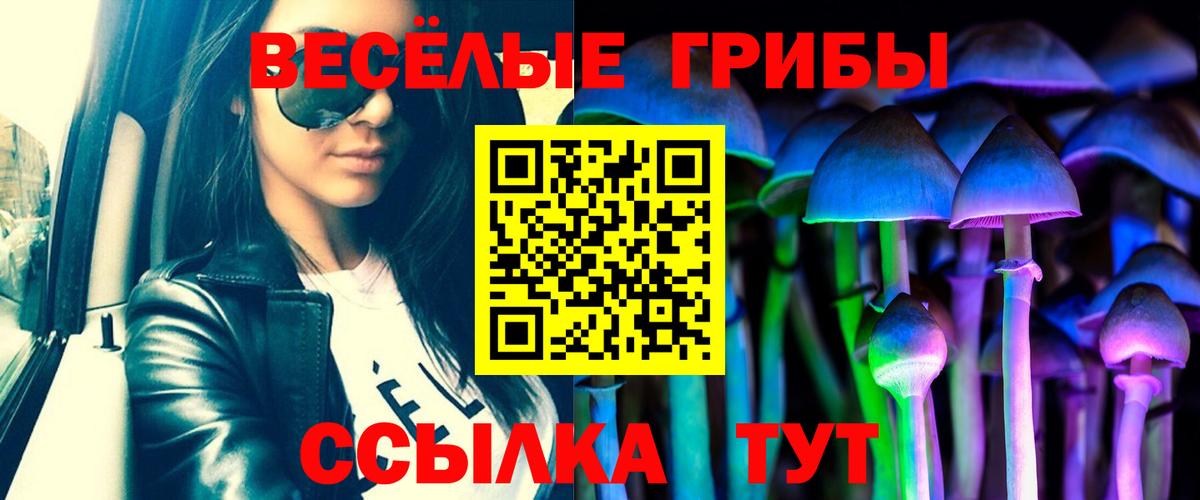 Кинешма  Галлюциногенные грибы Cubensis  Вход с VPN  Псилоцибиновые грибы Psilocybine cubensis 